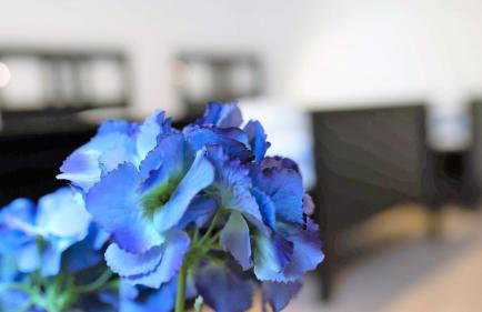 Working & Longstay Apartments DD - Foto 79