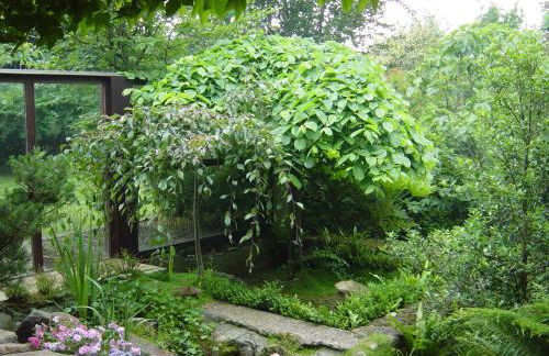 Casa Rural Arraigorri - Foto 28