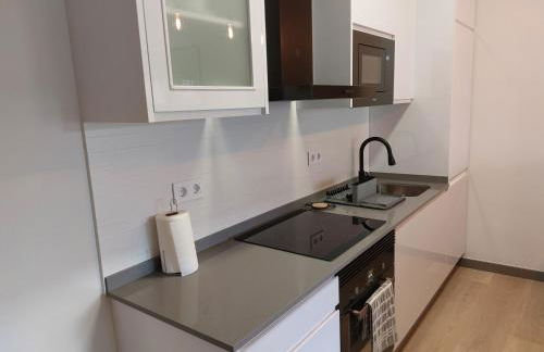 Apartamento Puerta de San Fernando - Foto 21