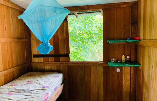 FM Algodoal - Foto 12