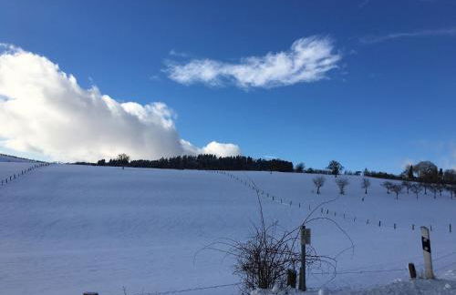 Ferienhaus Stausee Bitburg - Foto 28