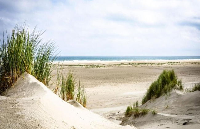 Villa in Midsland Near the Sea - Foto 36