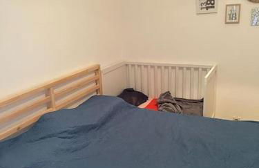 Santinho House - Foto 20