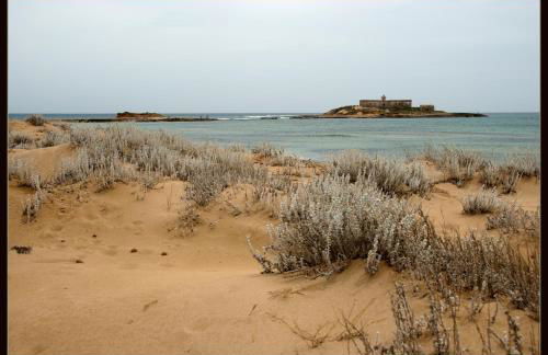 Yellow-house 100 meters from the sandy beach - Foto 41