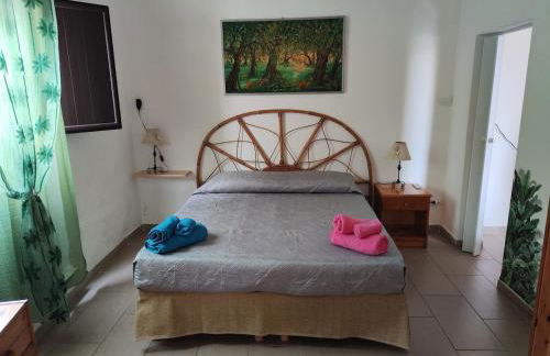 Mambo House - Foto 4