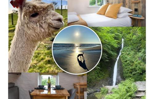 Granary Retreat for 2 inc shared Dog Field - Foto 8