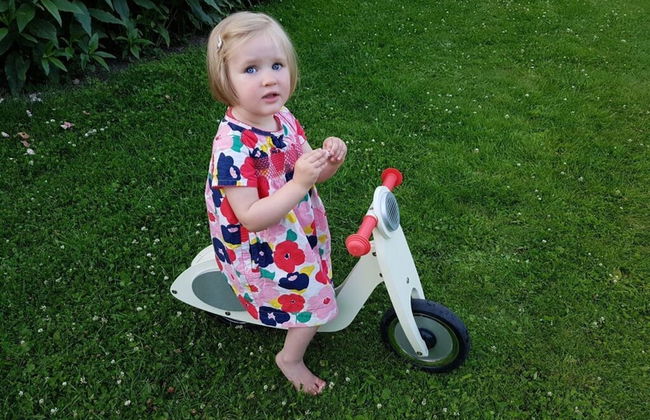 Farm Ferienhof Albert - Photo 19