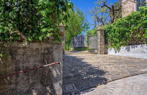 Albero di Giada - Foto 28