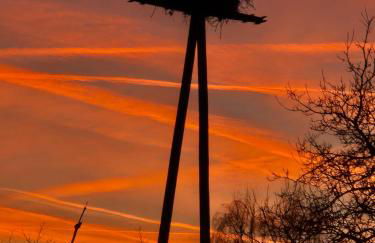 Am Storchennest - Foto 7