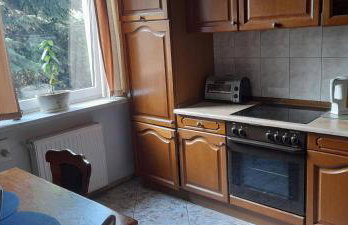 Agro-szyszynka - Foto 20