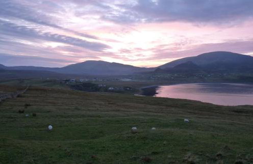 Sorley's House - Foto 34