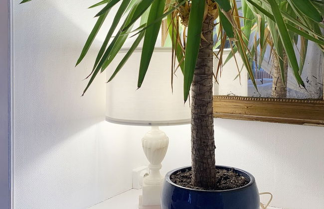 Maison de campagne - Photo 71