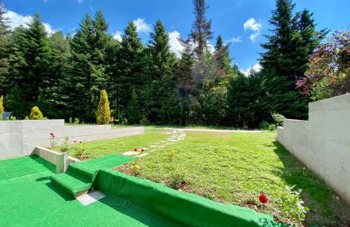 ECO VILLA OLYMPUS with sauna and swimming pool - Foto 39