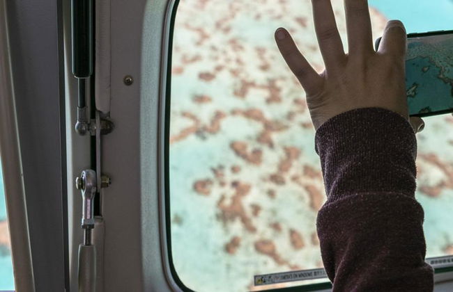 60 Minuten Panoramaflug über Whitehaven Beach, Hill Inlet und Heart Reef - Foto 4