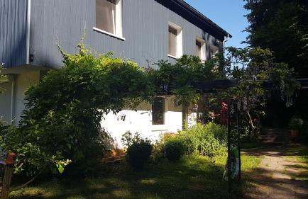 Ruhige Ferienwohnung „Südhang“ direkt am Wald - Foto 1