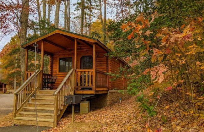 Wilderness Presidential Resort - Foto 62