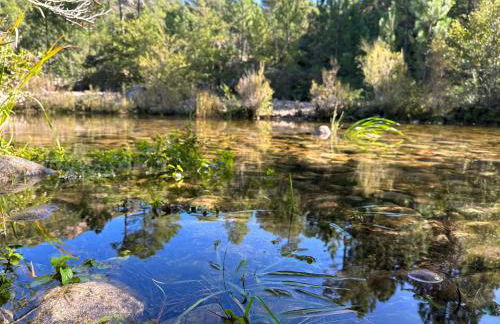 T4 neuf Porto Vecchio Calarossa - Foto 37