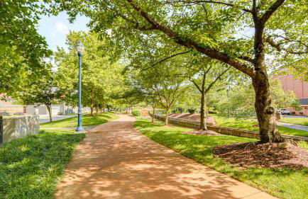 Dtwn at Your Door Historic Frederick Gem with Yard! - Foto 30