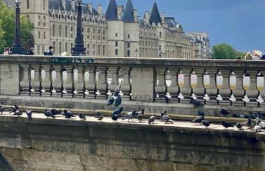 Visiter et travailler près de Paris - Kalula - Foto 25