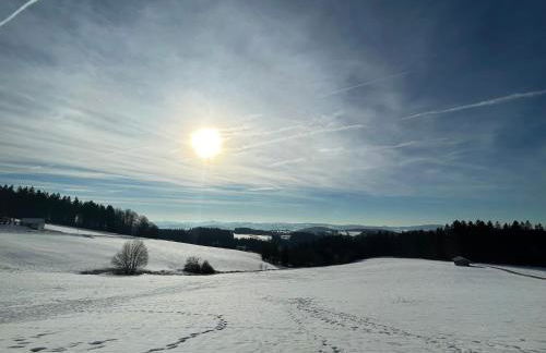 Große Ferienwohnung Hundertwasser am Dreisessel in Altreichenau - Foto 37