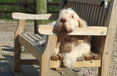 Meadowbeck Holiday Cottages - Photo 8