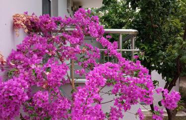 Sofia's Garden - Photo 25