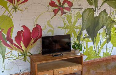 LA CASA AZUL de Anna - Photo 7