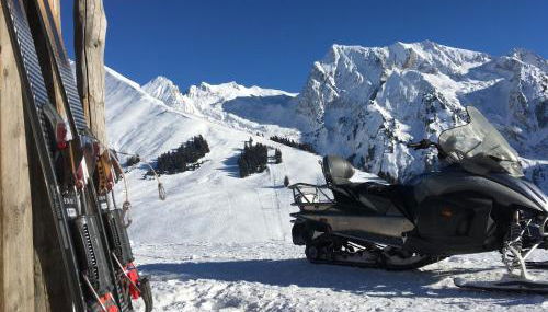 Appartement Coeur De Chalet - Foto 1