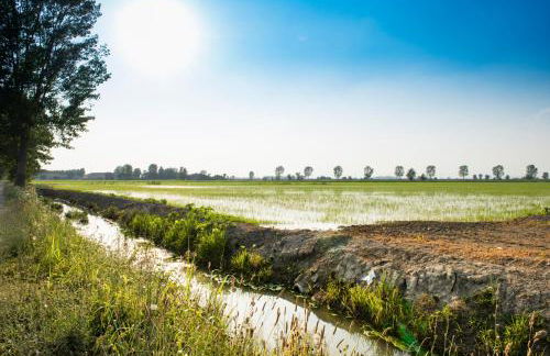 Agriturismo LeColombare - Photo 51