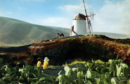 Casa victoria - Foto 53