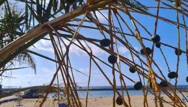 Esmeralda 15 Caleta de Fuste - Photo 2