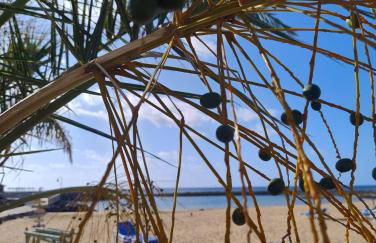 Esmeralda 15 Caleta de Fuste - Photo 2