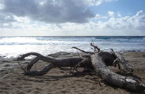 Casa sulla spiaggia a Porto Alabe P 3187 - Foto 58