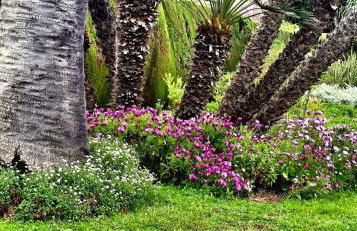 Villa de charme, vue sur mer - Foto 29