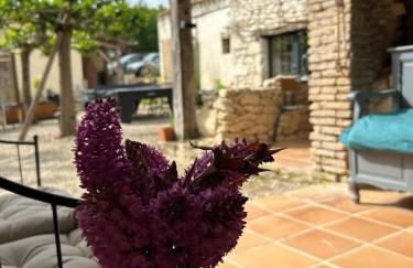 Les fontanelles du quercy blanc - Foto 72