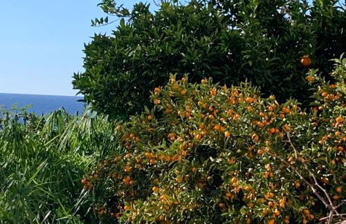 Palazzo Carratelli - Foto 47