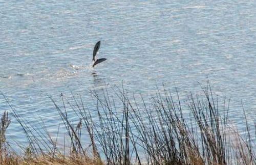 Historic Astoria Waterfront Views Vintage Vibes - Foto 5