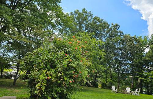 The Eagles Nest - Foto 69