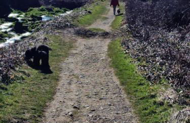 Stunning Caravan Whithorn3 - Foto 13