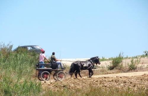 Casa do Portão Azul - Dourada - Foto 30