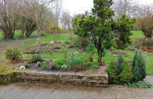 Residenz Dabo Panorama in den Vogesen, 5 Zimmer, modern und großzügig, 2 Balkons, Terrasse, Garten - Foto 8