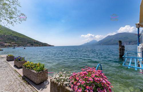 Garden Beth's House - Foto 27