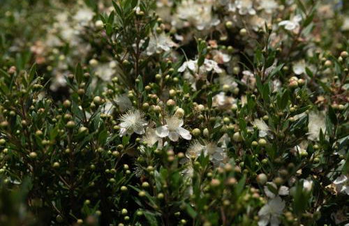 Villa Tre 's' - Foto 36