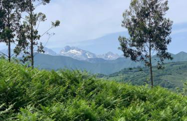 Posada El Pareón - Photo 29