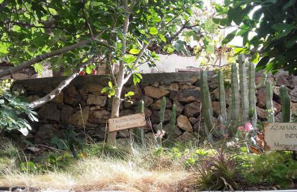 Casa Rural El Cabezo - Photo 22