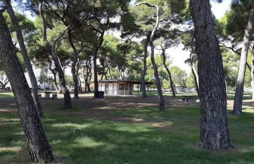 Beach apartment - Photo 24