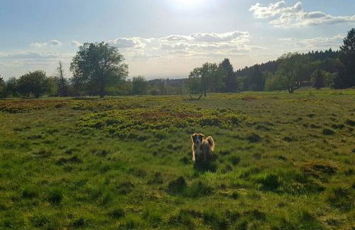 Lenzenhof anno 1720 II - Foto 24