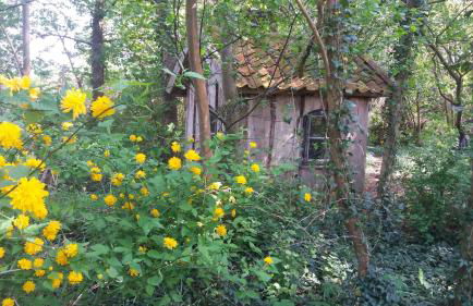 Ferienwohnung ehemalige Revierförsterei "Morgensünn" - Foto 18