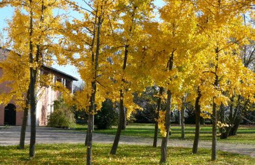 Agriturismo la Torre - Foto 66