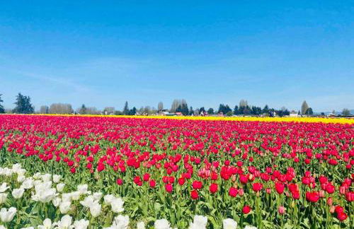 Shiny Rambler House with Spacious Solarium. - Foto 78